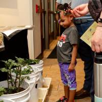 child examining 5-gallon buckets with tree saplings at student project showcase
